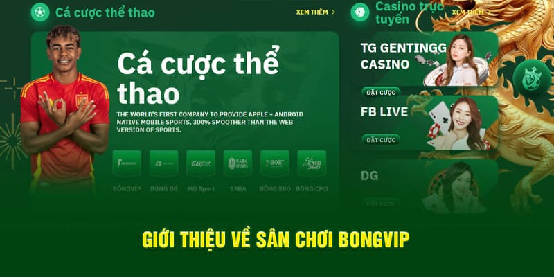 Thiên đường thể thao Bongvip giải trí hàng đầu tại châu Á